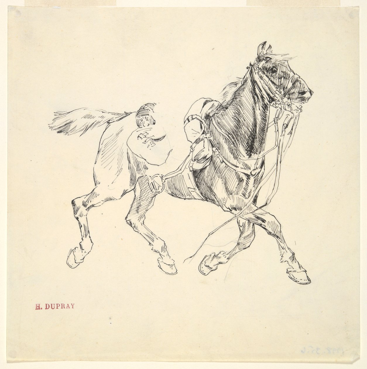 Cavallo militare da Henri Louis Dupray