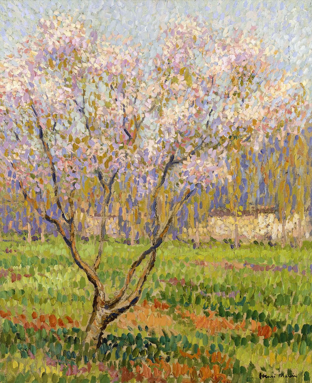 Melo in Fiore da Henri Martin