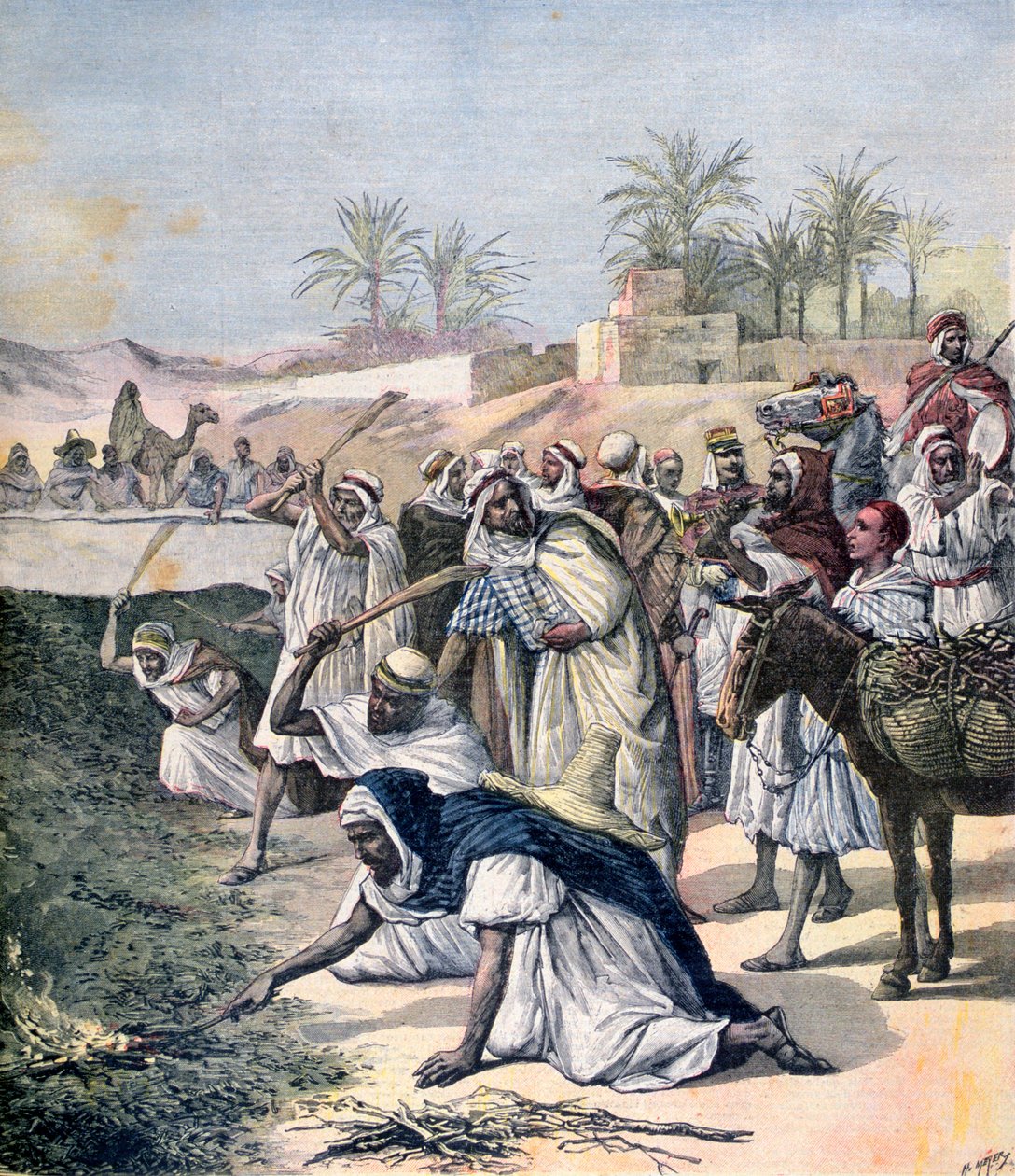 La piaga delle locuste, Algeria da Henri Meyer