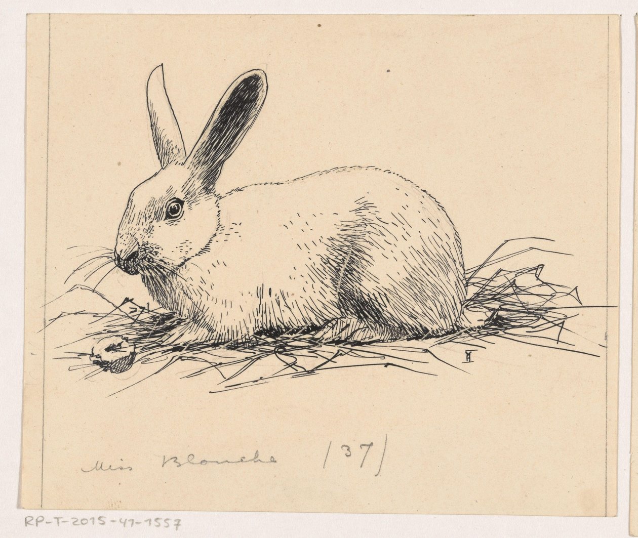 Coniglio da Henri Verstijnen (signed by artist)