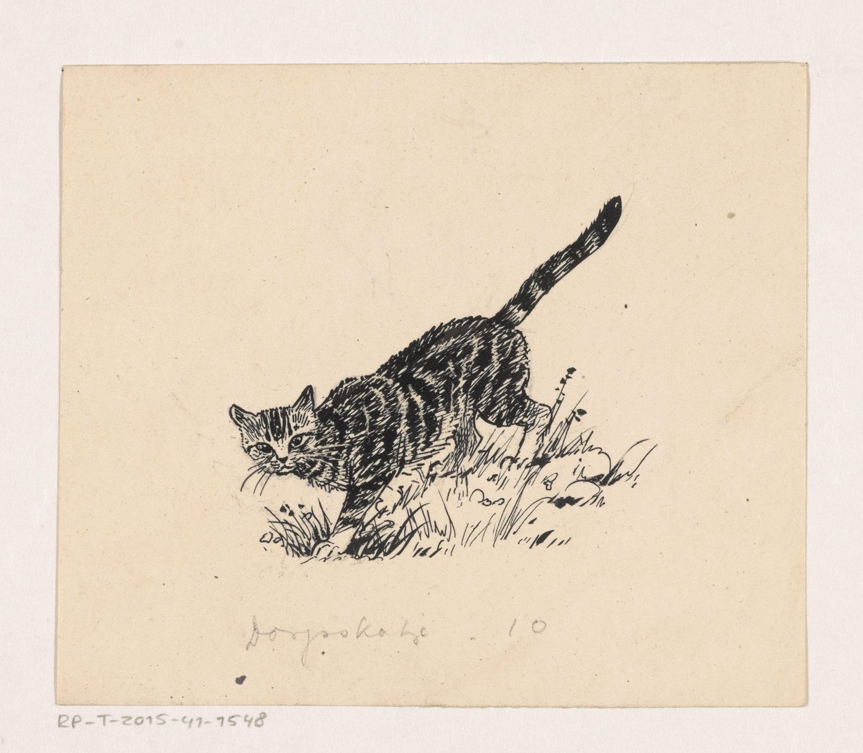 Gatto da Henri Verstijnen