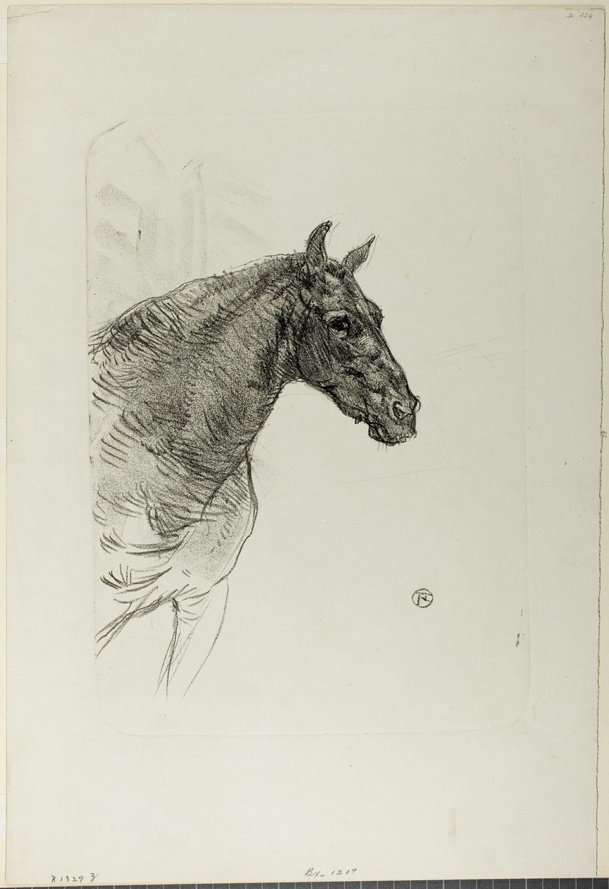 Philibert il Pony da Henri de Toulouse Lautrec