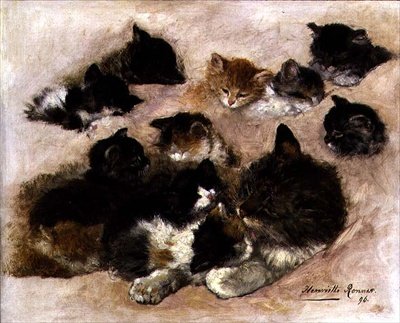 Studio di gatti e gattini da Henriëtte Ronner Knip