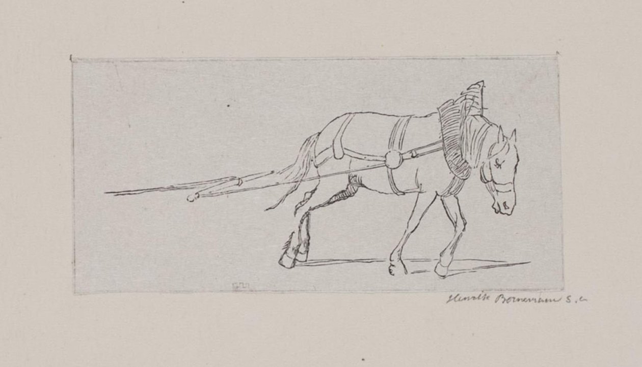 Cavallo che tira da Henrik Bornemann