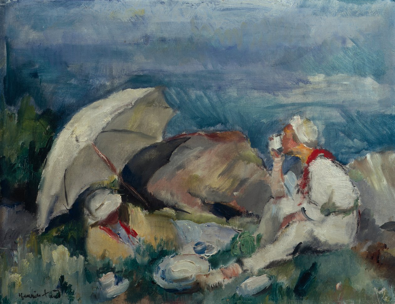 Picnic da Henrik Lund