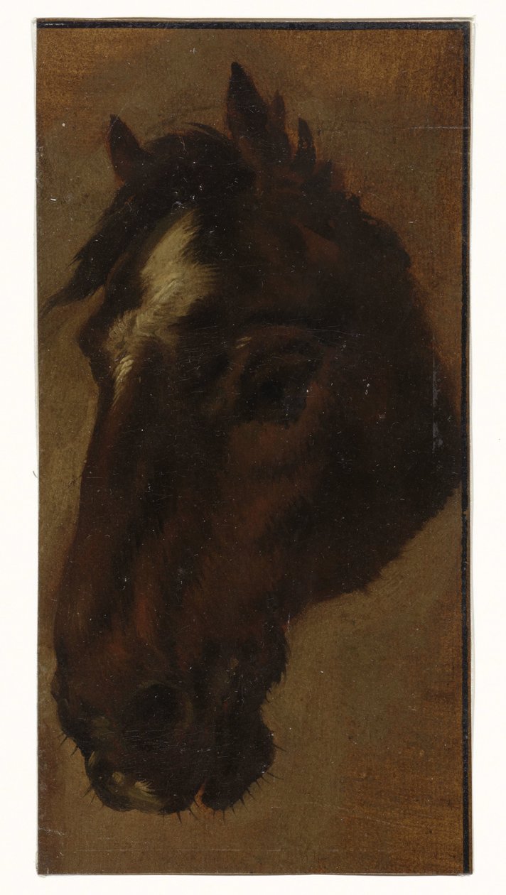 Testa di cavallo da Henriëtte Ronner