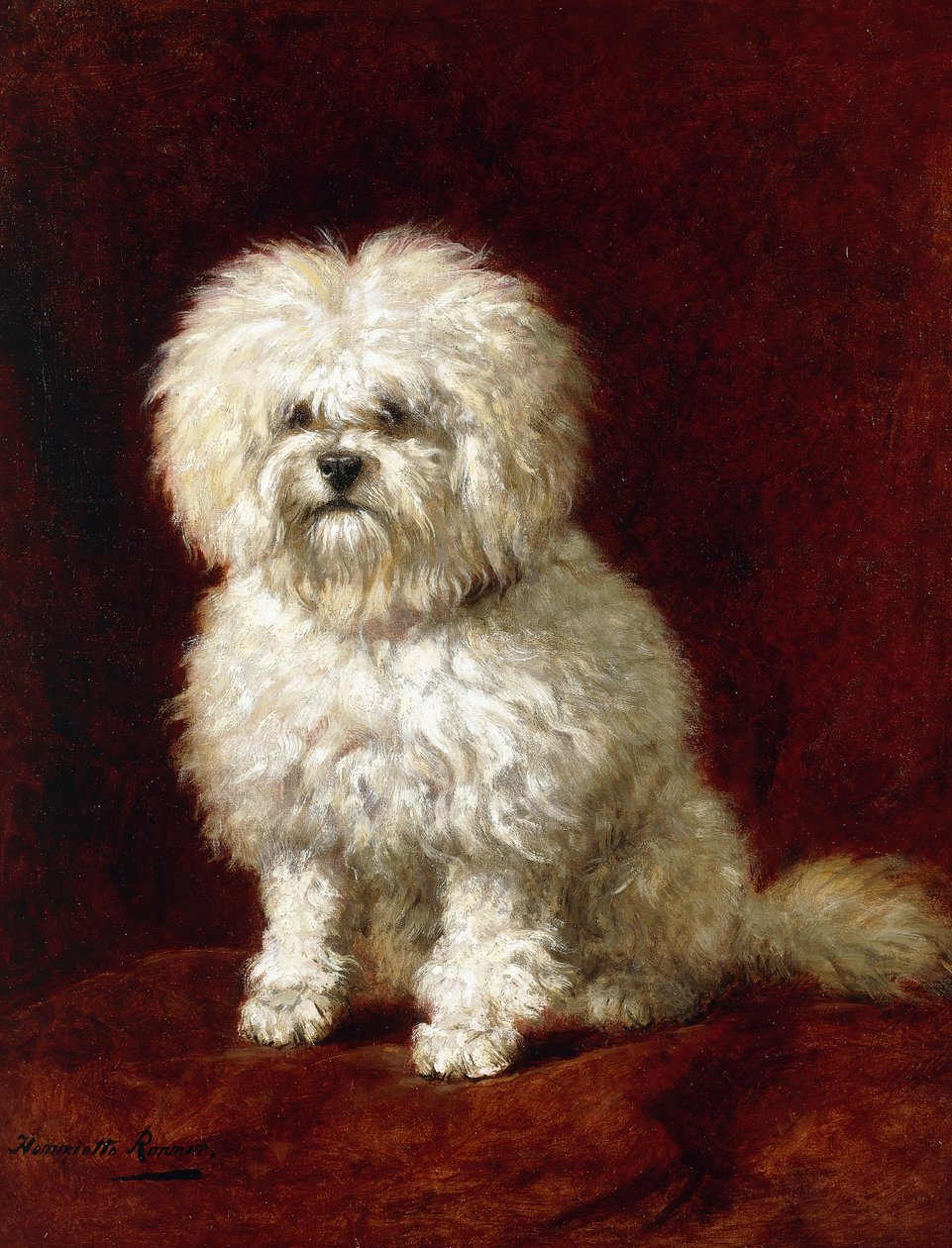 Un barboncino da Henriëtte Ronner Knip