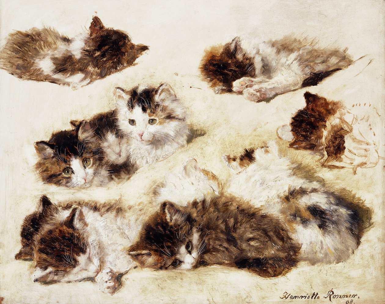 Uno studio di gattini, 1898 da Henriëtte Ronner Knip