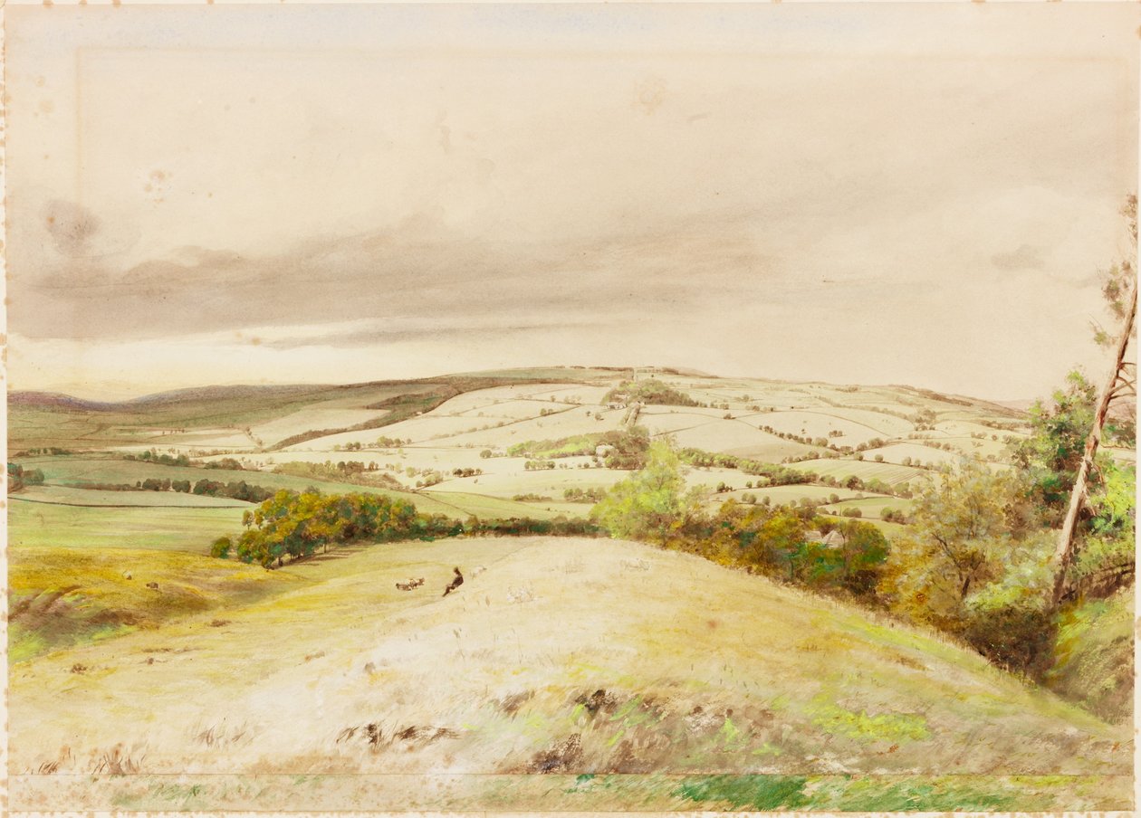 Brunton Bank da Henry Burdon Richardson