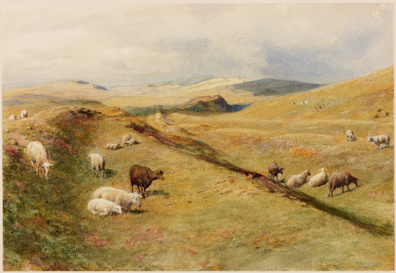 Castello Nick da Henry Burdon Richardson