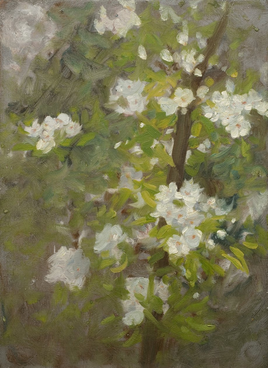 Fiori bianchi da Henry Scott Tuke