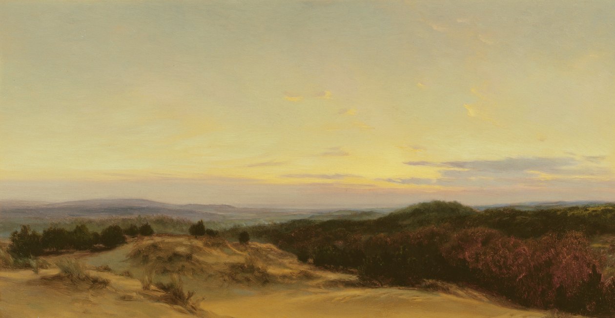 Tramonto su un paesaggio da Henry William Banks Davis