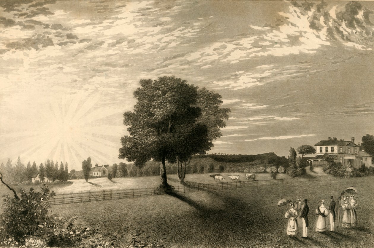 Sennicots da Henry Alexander Ogg