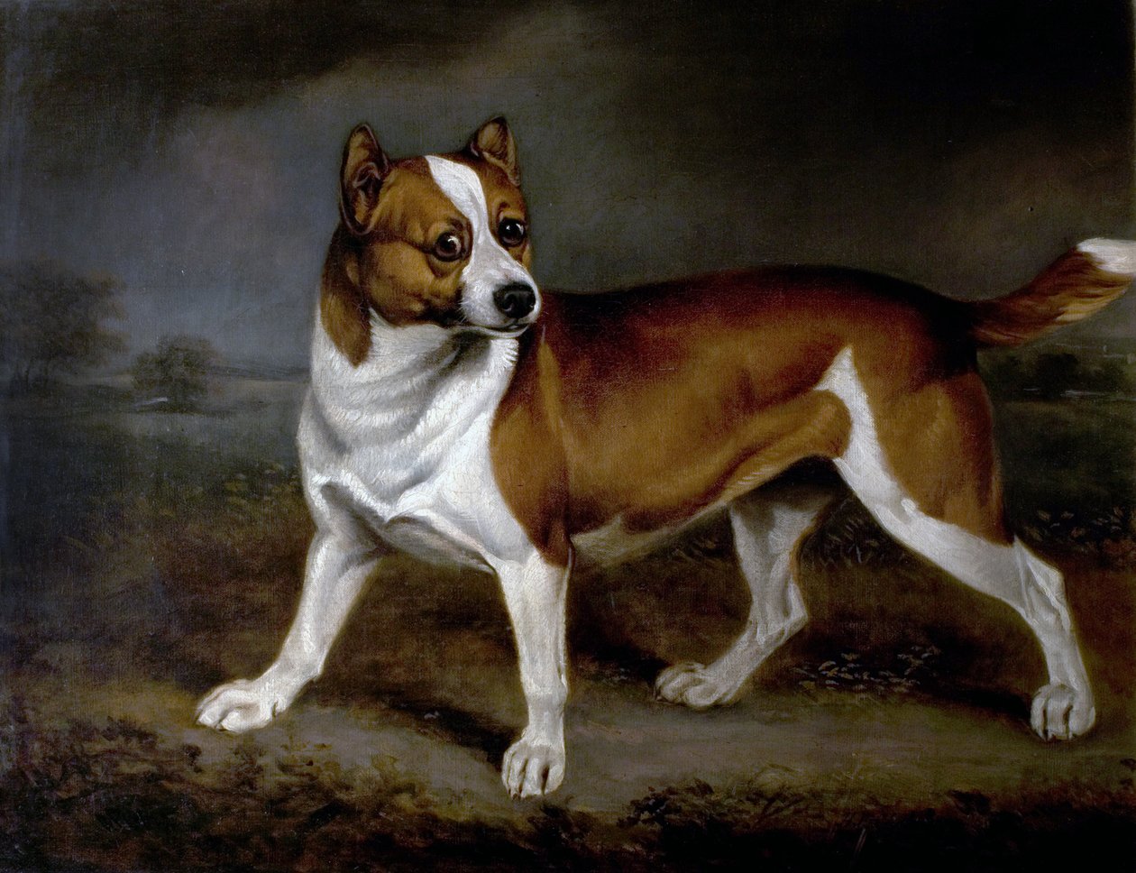 Ortica, 1812 da Henry Bernard Chalon