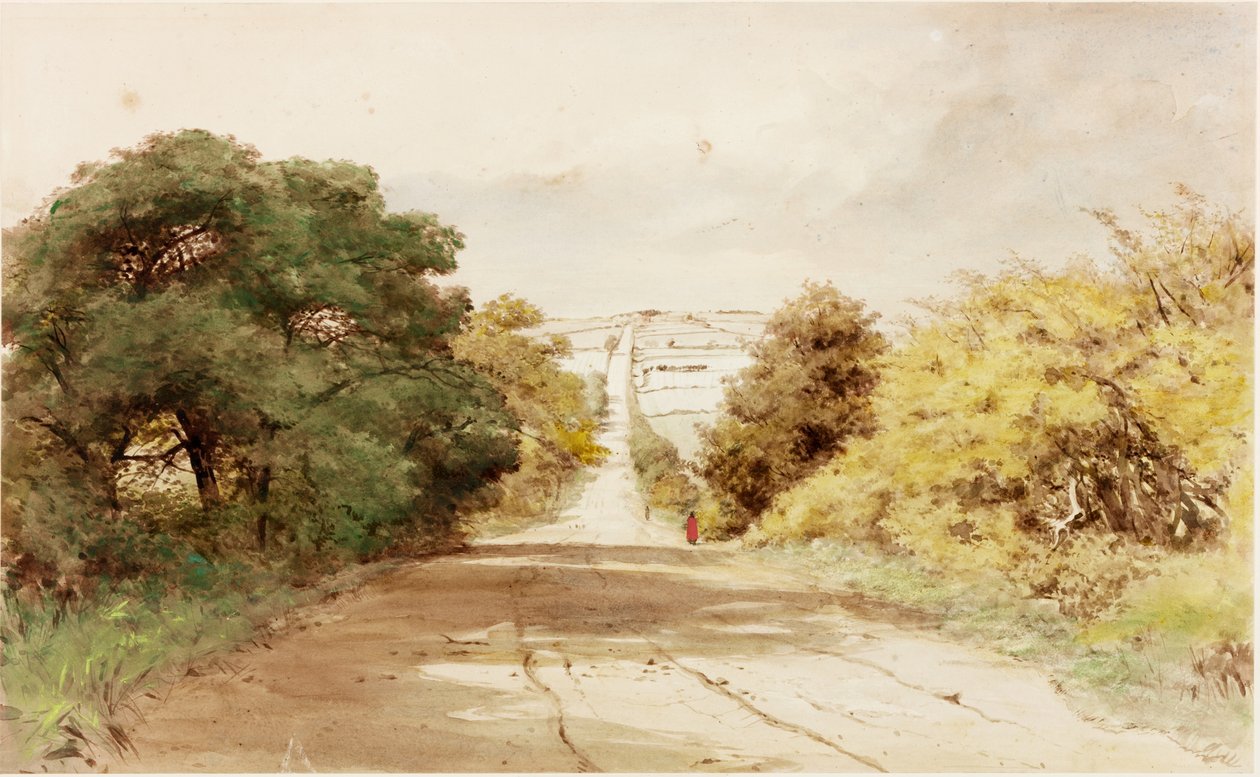 Harlow Hill da Henry Burdon Richardson