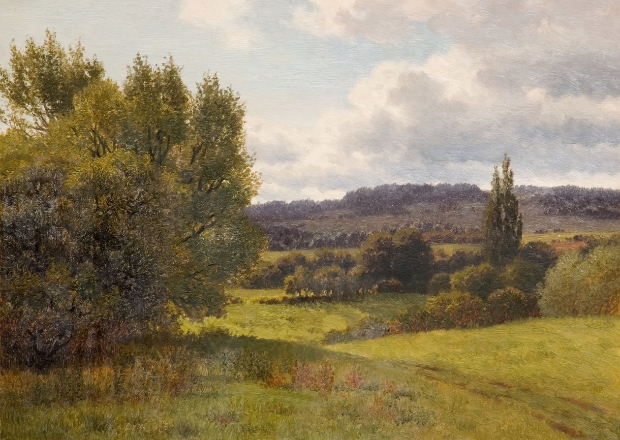 Paesaggio con alberi da Henry Cheadle