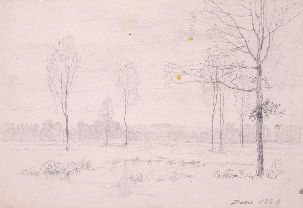 Paesaggio da Henry Farrer