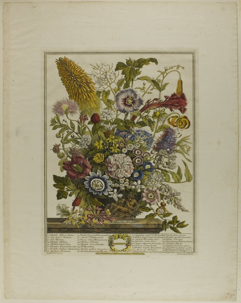 Agosto, da Dodici mesi di fiori da Henry Fletcher