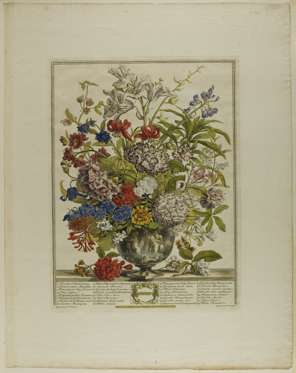 Luglio, da Dodici mesi di fiori da Henry Fletcher
