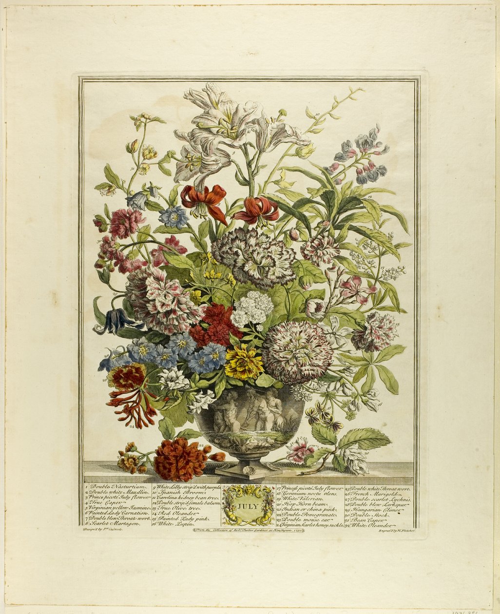 Luglio, da Dodici mesi di fiori da Henry Fletcher
