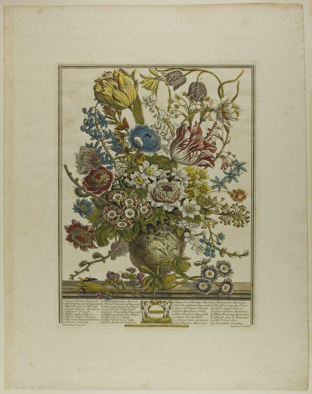 Marzo, dai Dodici Mesi di Fiori da Henry Fletcher