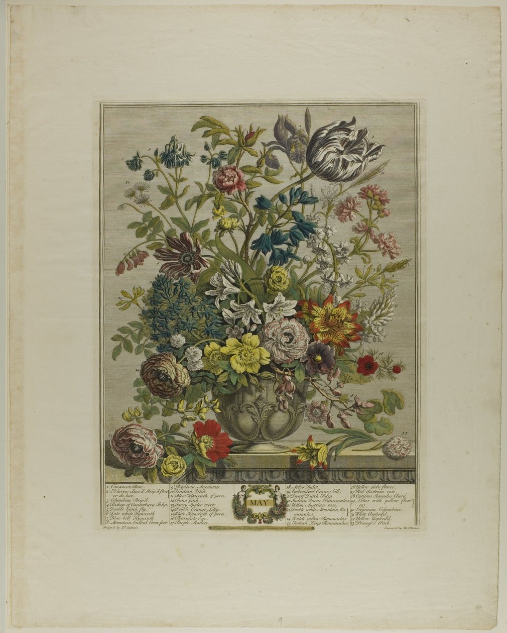 Maggio, da Dodici Mesi di Fiori da Henry Fletcher