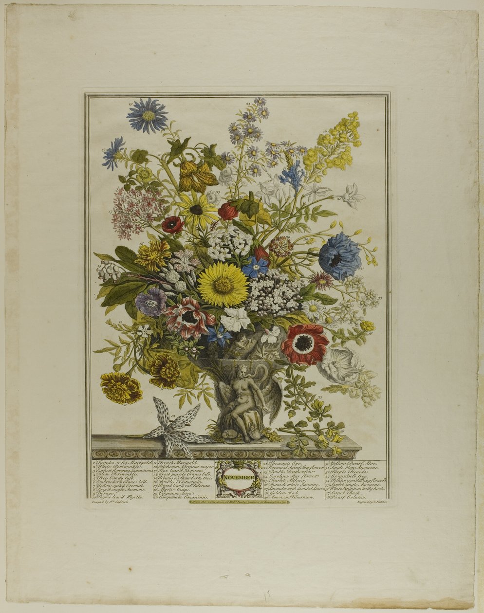 Novembre, dai Dodici Mesi di Fiori da Henry Fletcher