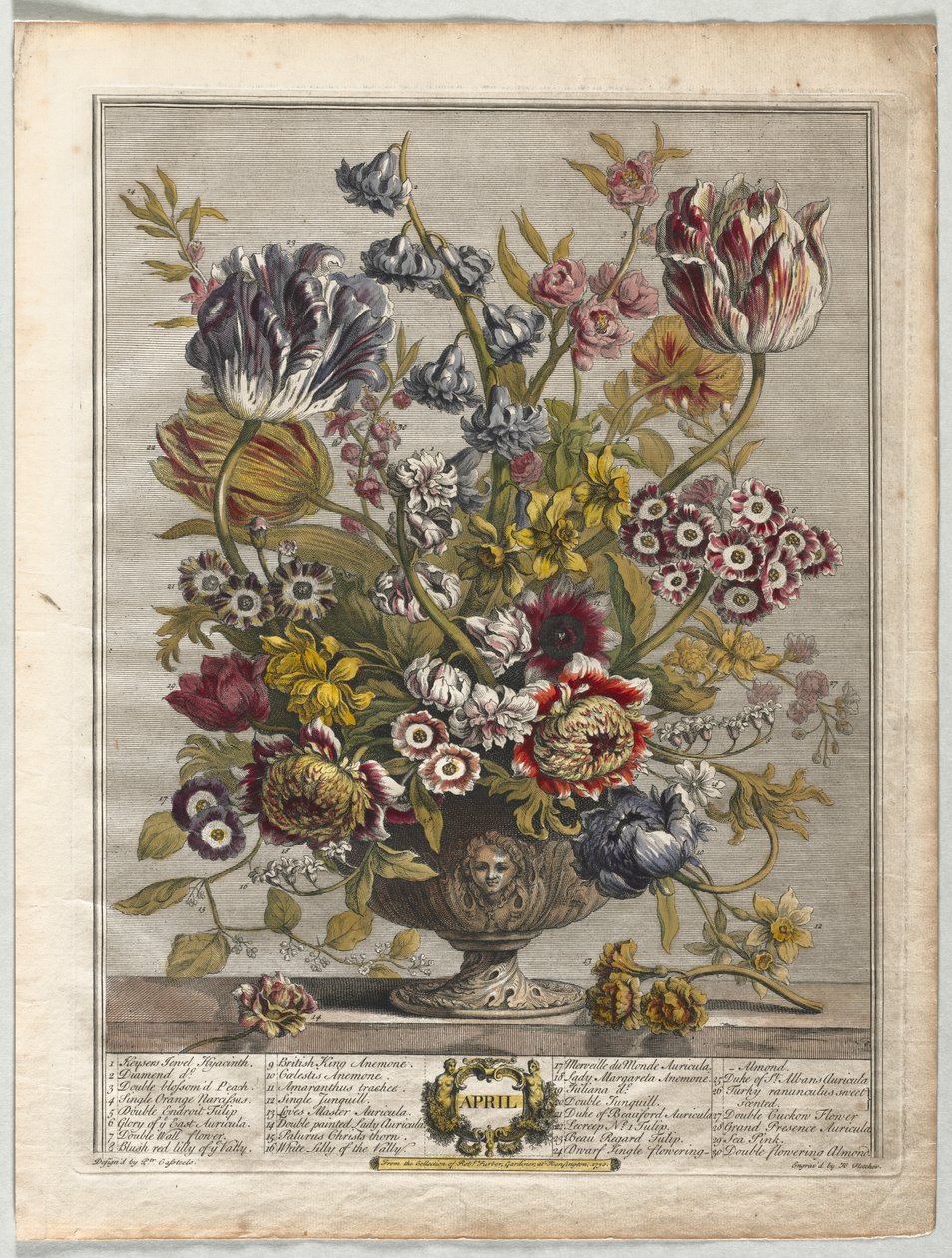 Dodici mesi di fiori: Aprile da Henry Fletcher