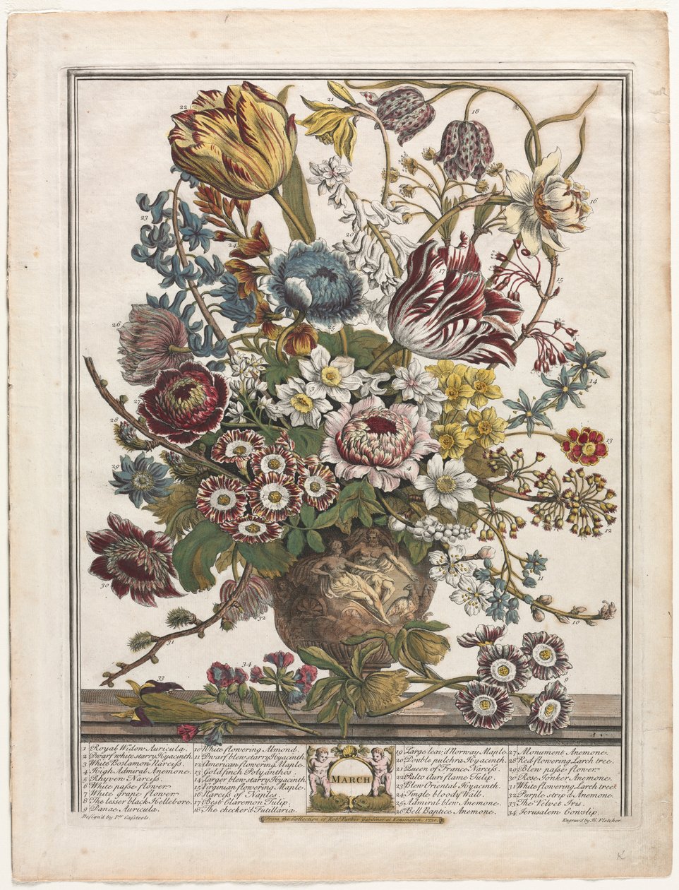 Dodici Mesi di Fiori: Marzo da Henry Fletcher