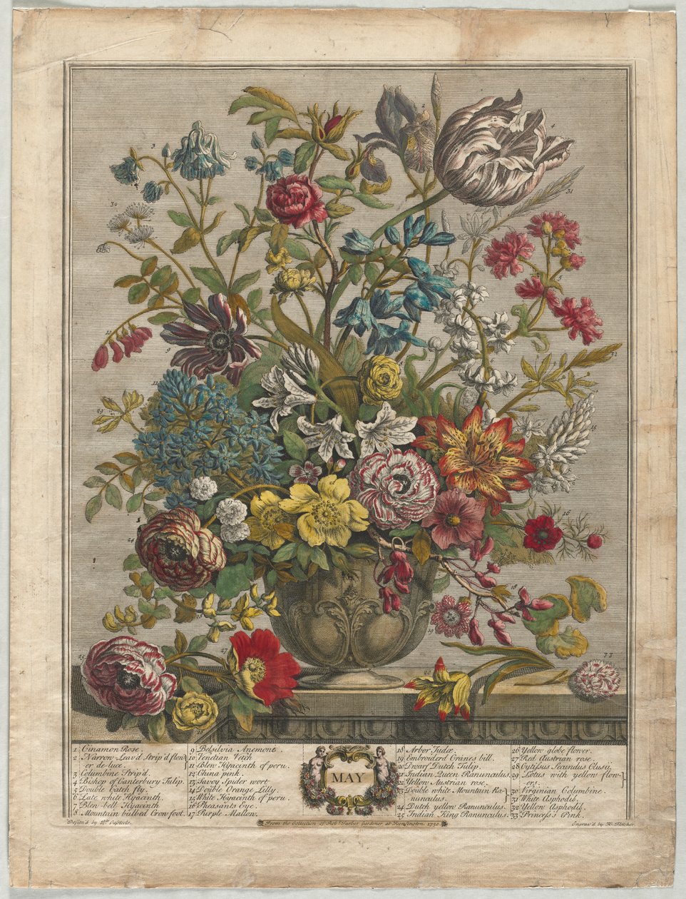 Dodici Mesi di Fiori: Maggio da Henry Fletcher