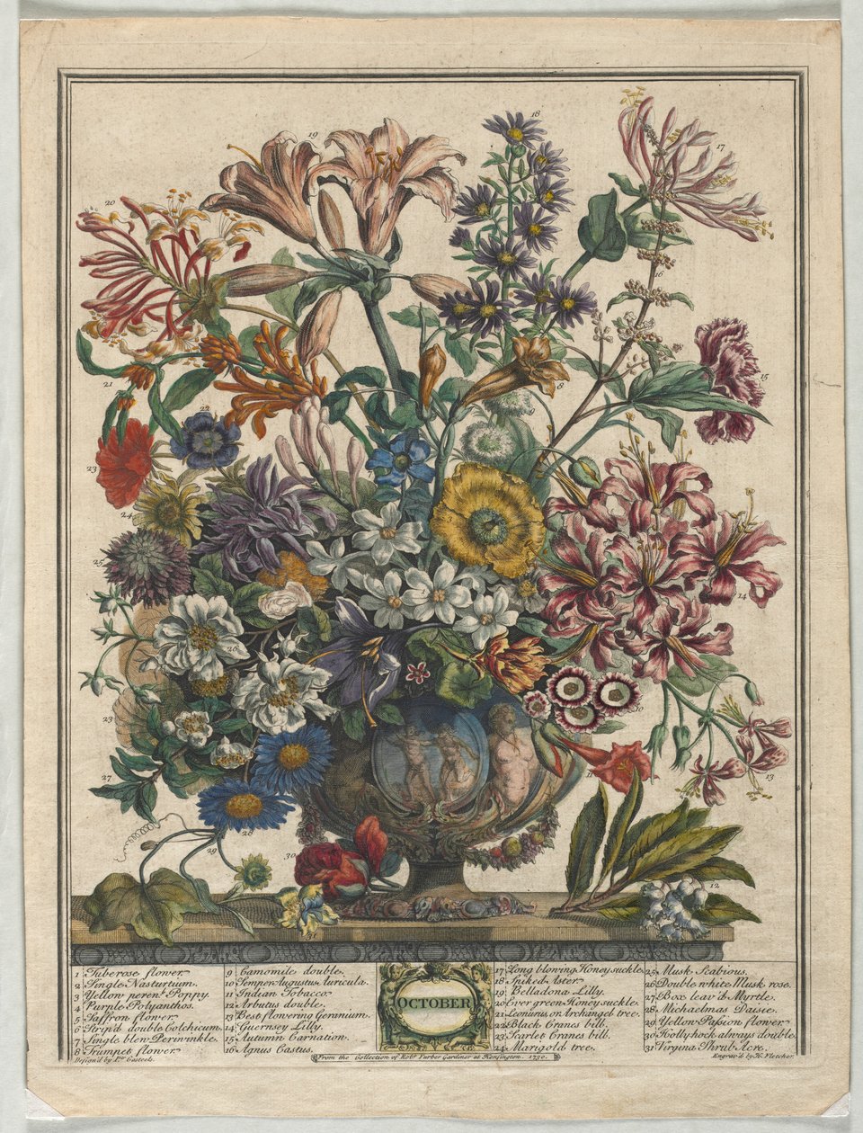 Dodici mesi di fiori: Ottobre da Henry Fletcher