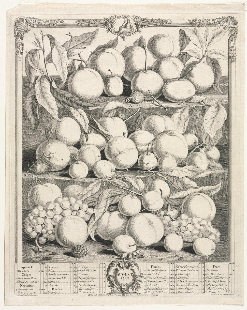 Dodici Mesi di Frutta: Agosto da Henry Fletcher