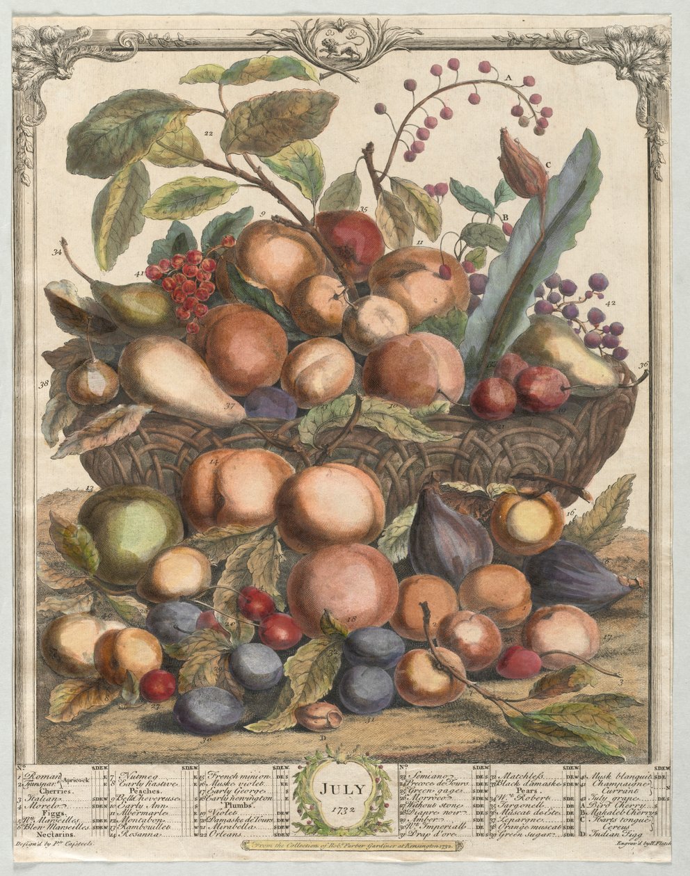 Dodici Mesi di Frutta: Luglio da Henry Fletcher