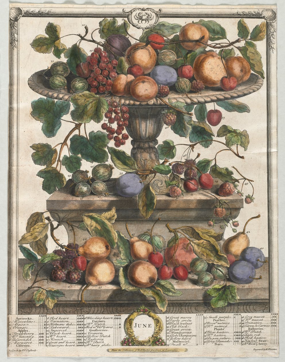 Dodici mesi di frutta: Giugno da Henry Fletcher