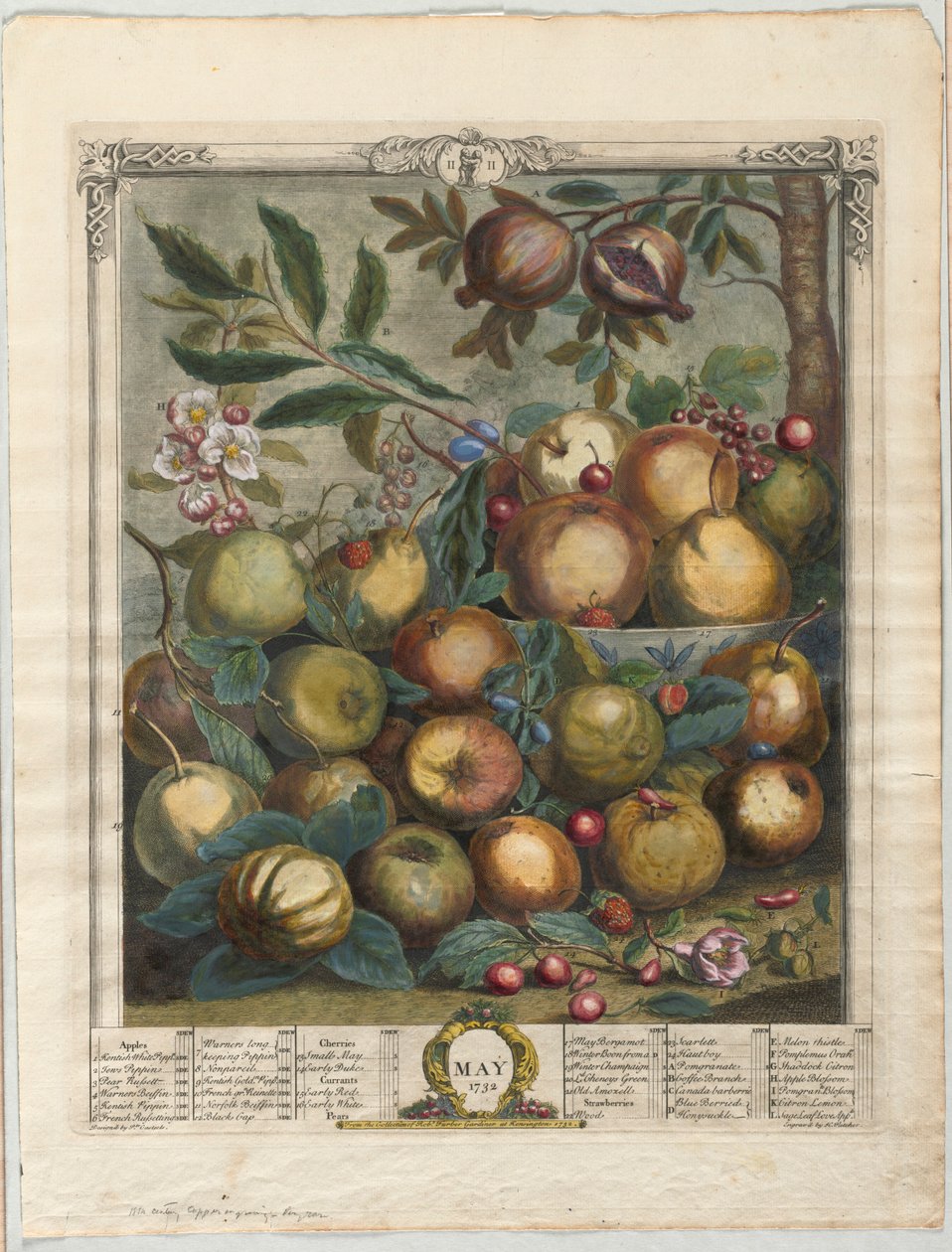 Dodici mesi di frutta:  Maggio da Henry Fletcher