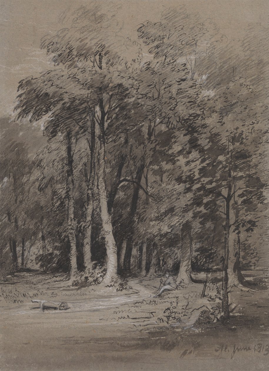 Un sentiero boscoso da Henry Monro