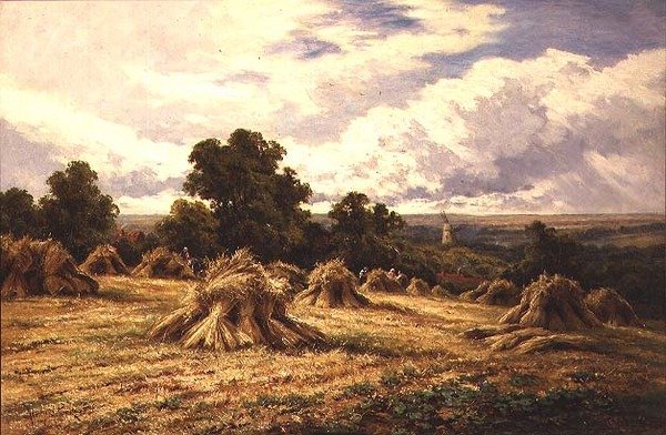 Campo raccolto da Henry Parker