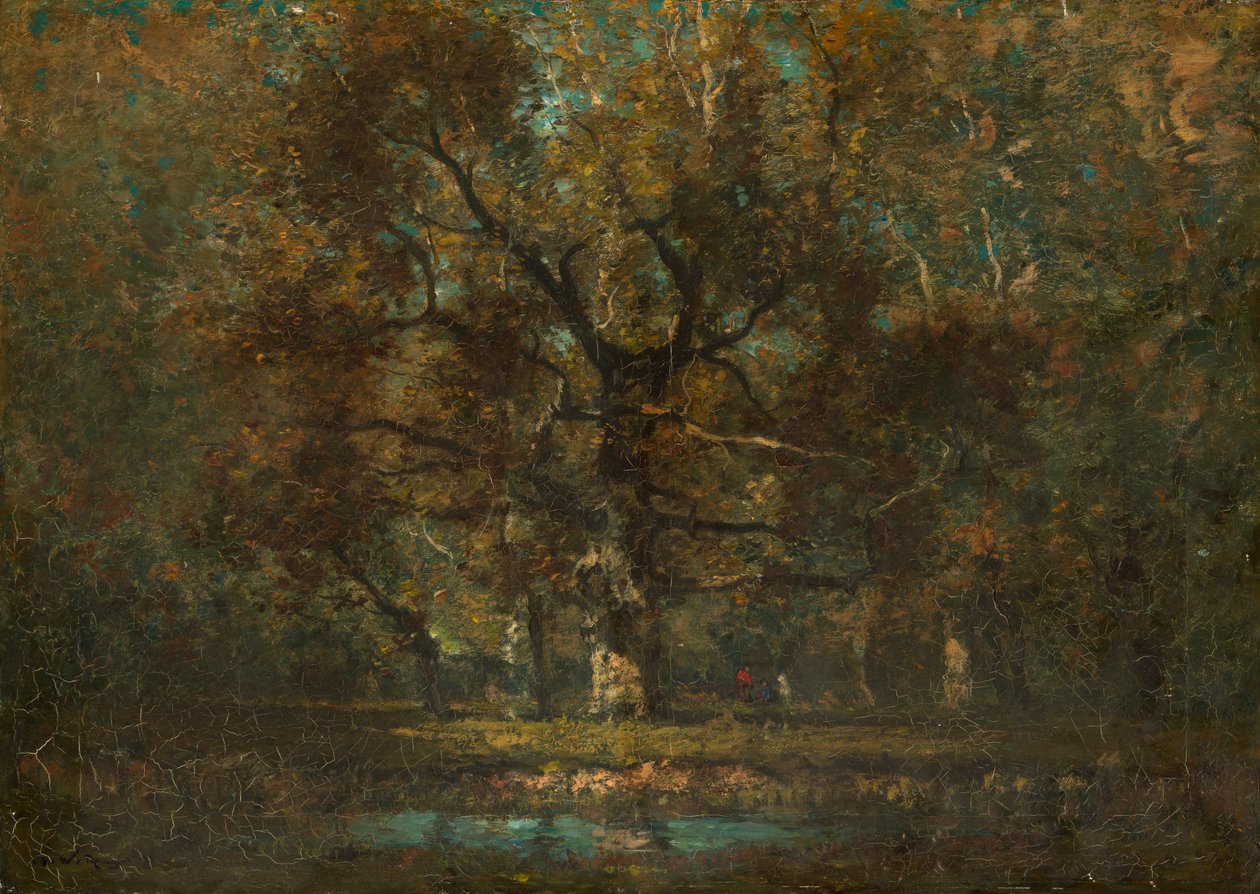 Quercia da Henry Ward Ranger