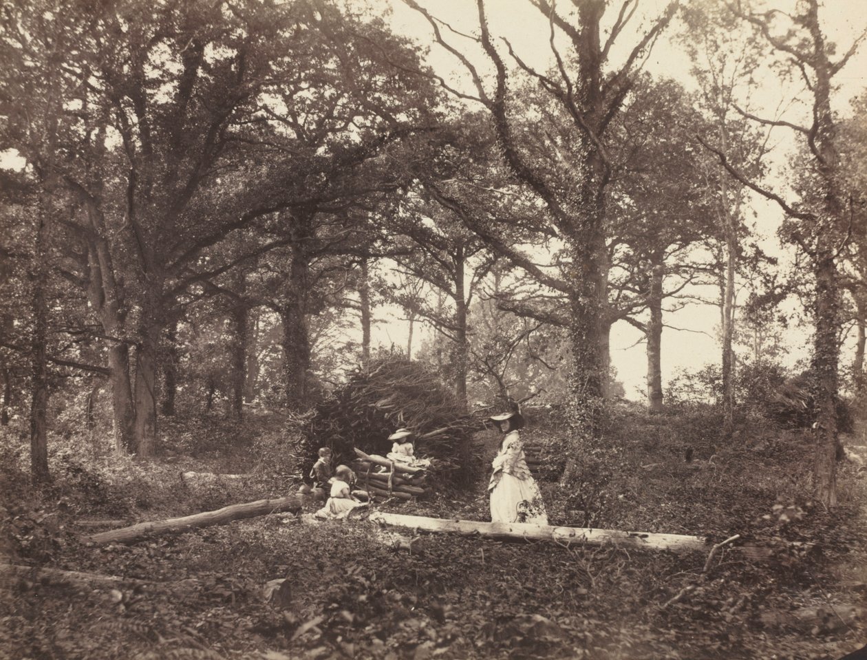 Paesaggio, 1856 da Henry White