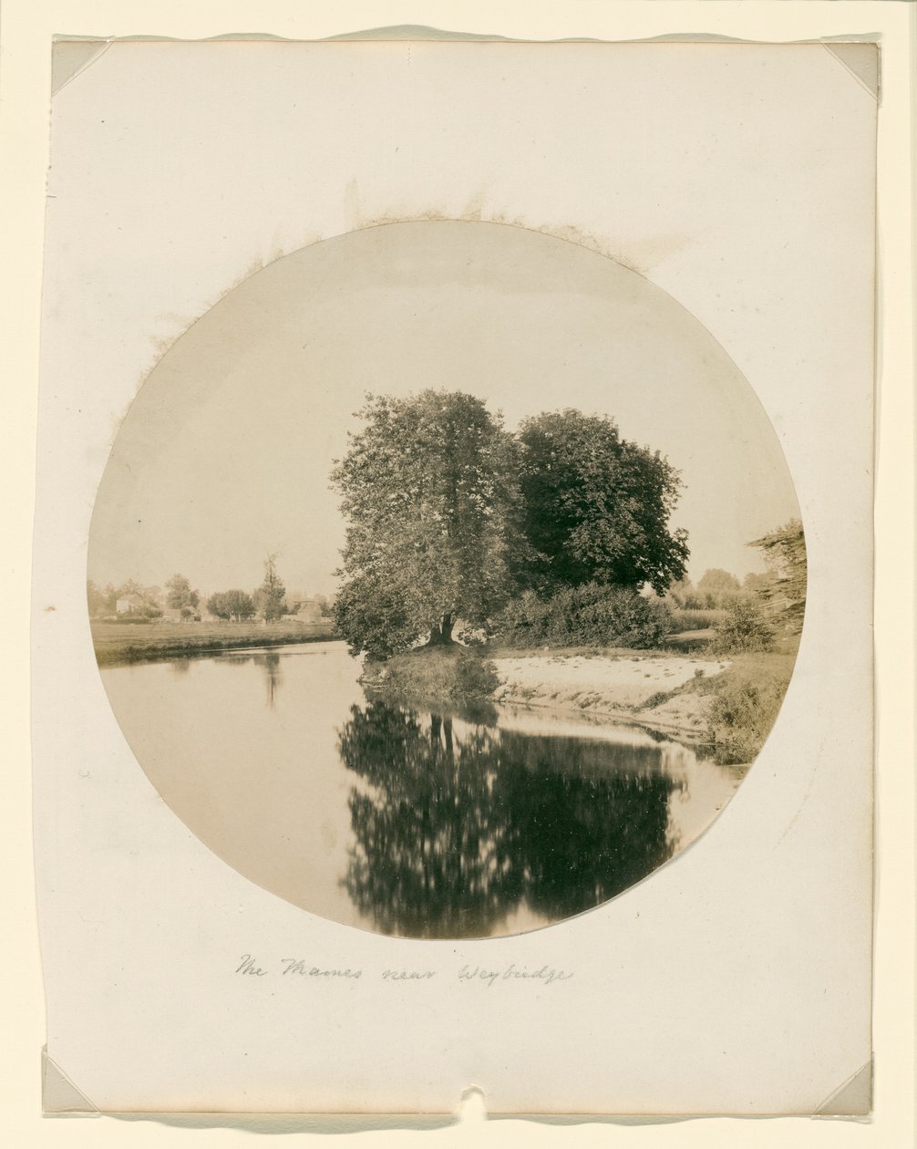 Senza titolo da Henry White