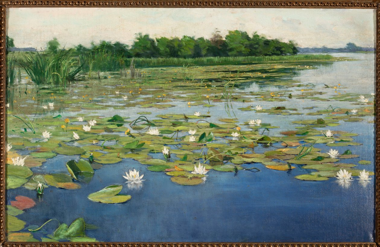 Ninfee da Henryk Weyssenhoff