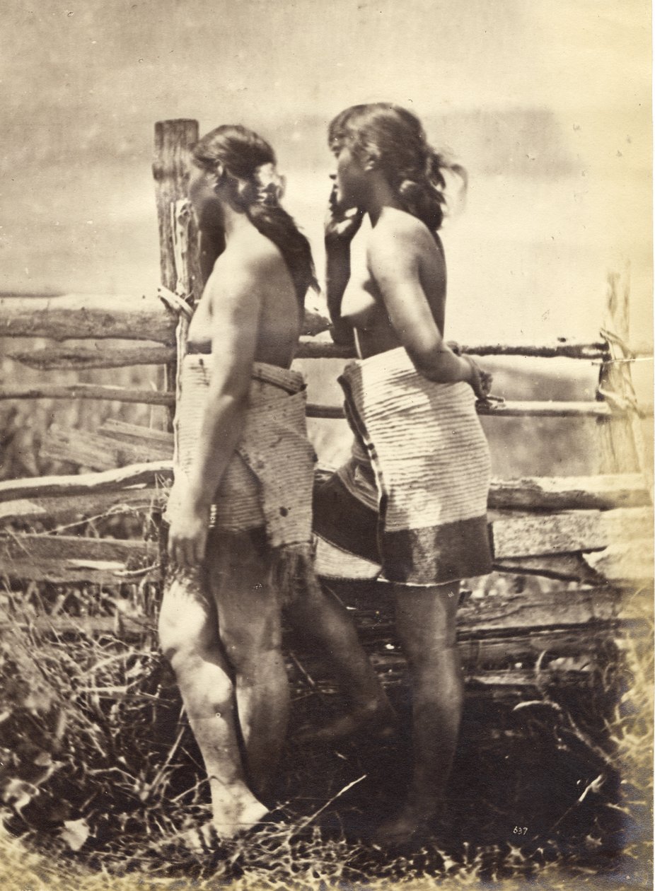 Studio Maori, c.1870 da Herbert Deveril