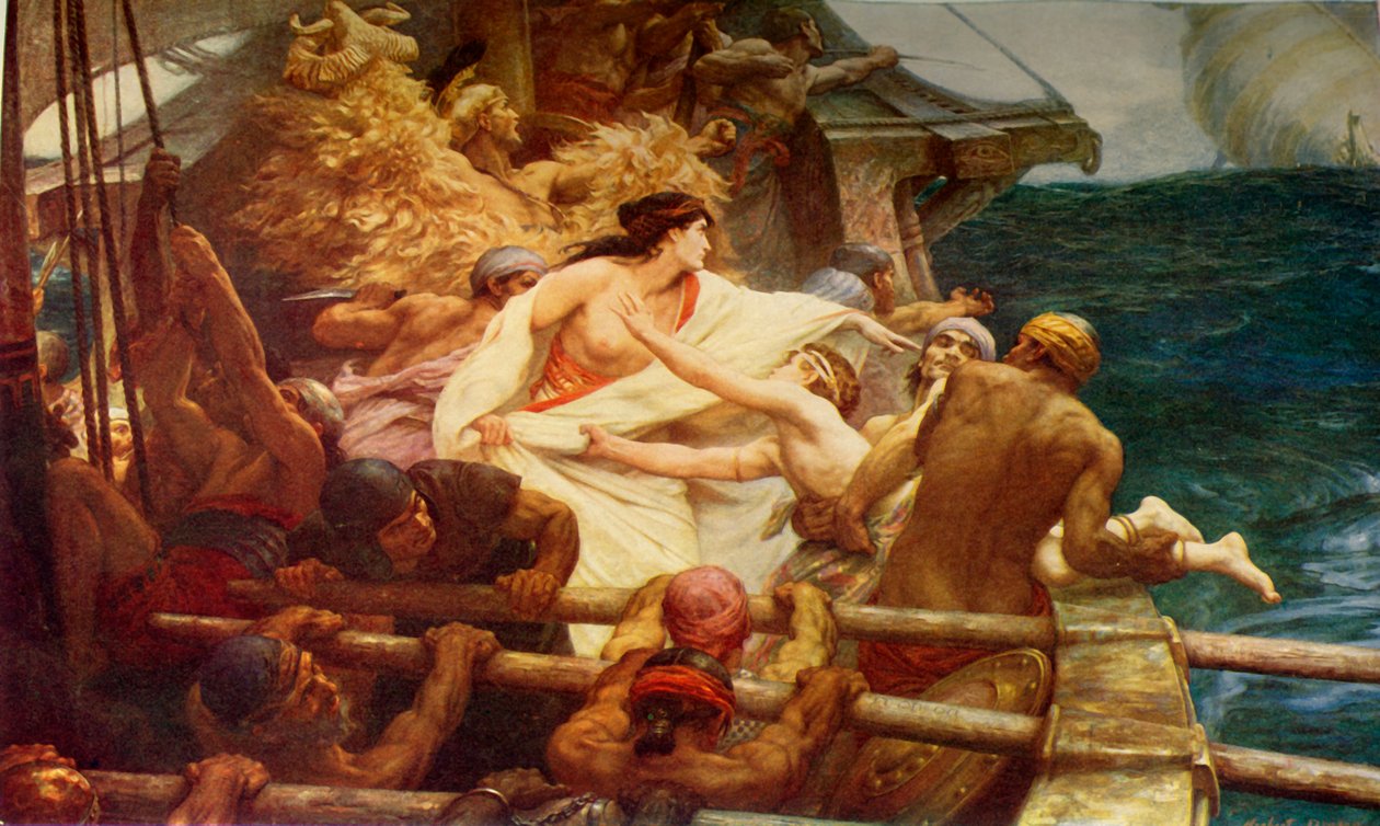 Il vello d