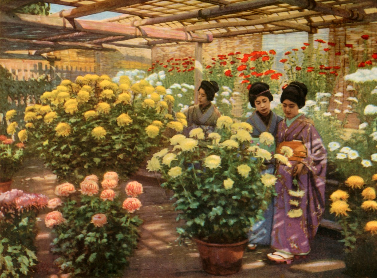 Alla mostra dei crisantemi, 1910 da Herbert Ponting