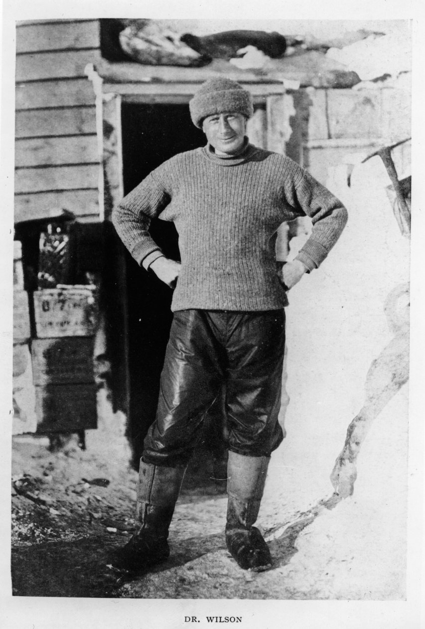 Dottor Wilson da Herbert Ponting