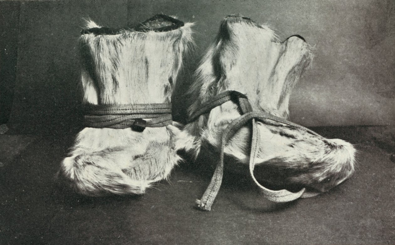 Finnesko, c1910-1913, 1913 da Herbert Ponting