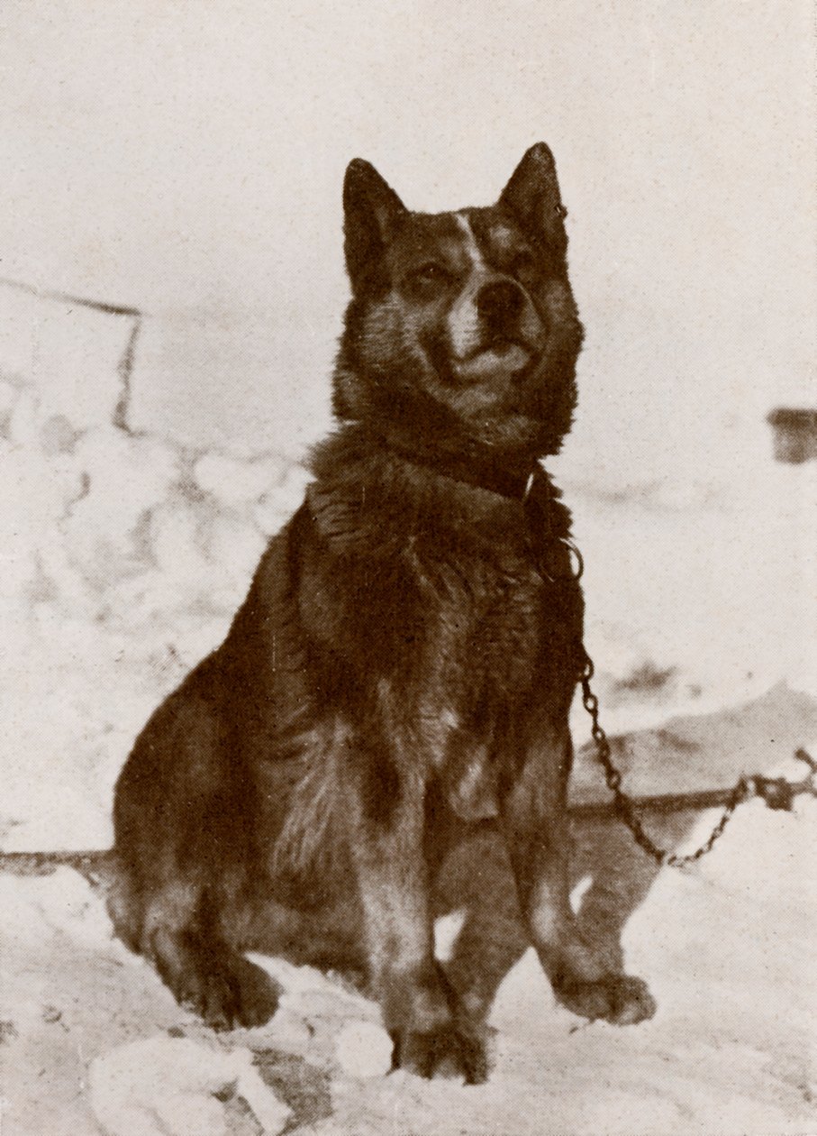 Krisravitsa, c1910-1913, 1913 da Herbert Ponting