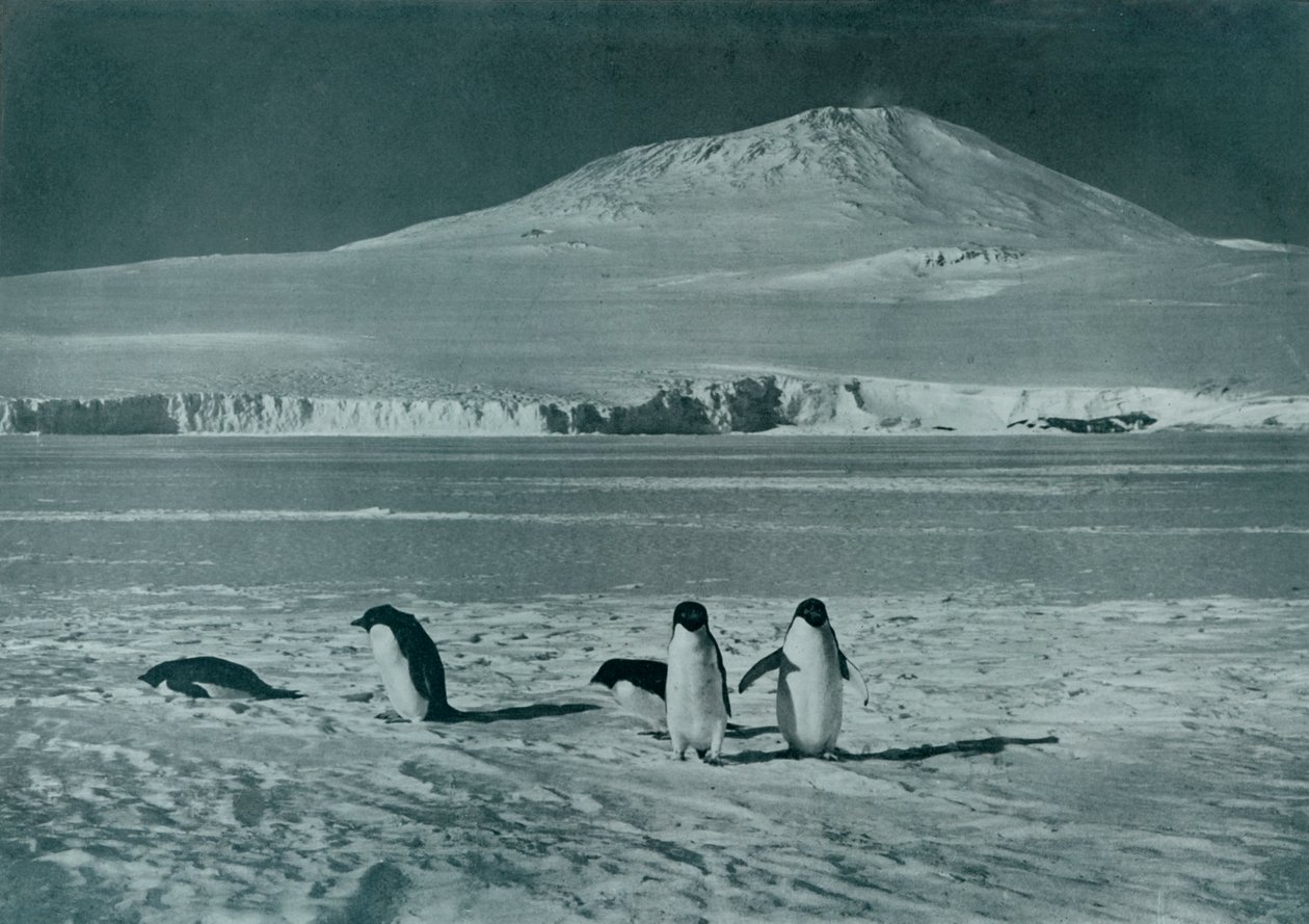 Monte Erebus, c1911, 1913 da Herbert Ponting