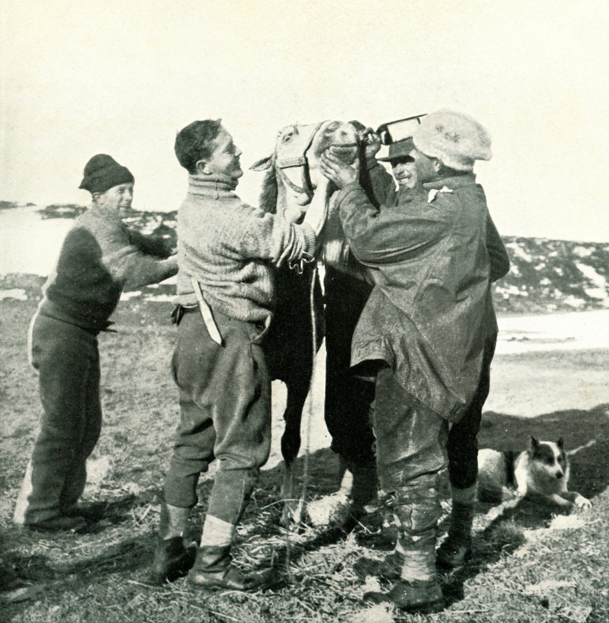 Pony prende whisky, 8 febbraio, 1911, 1913 da Herbert Ponting