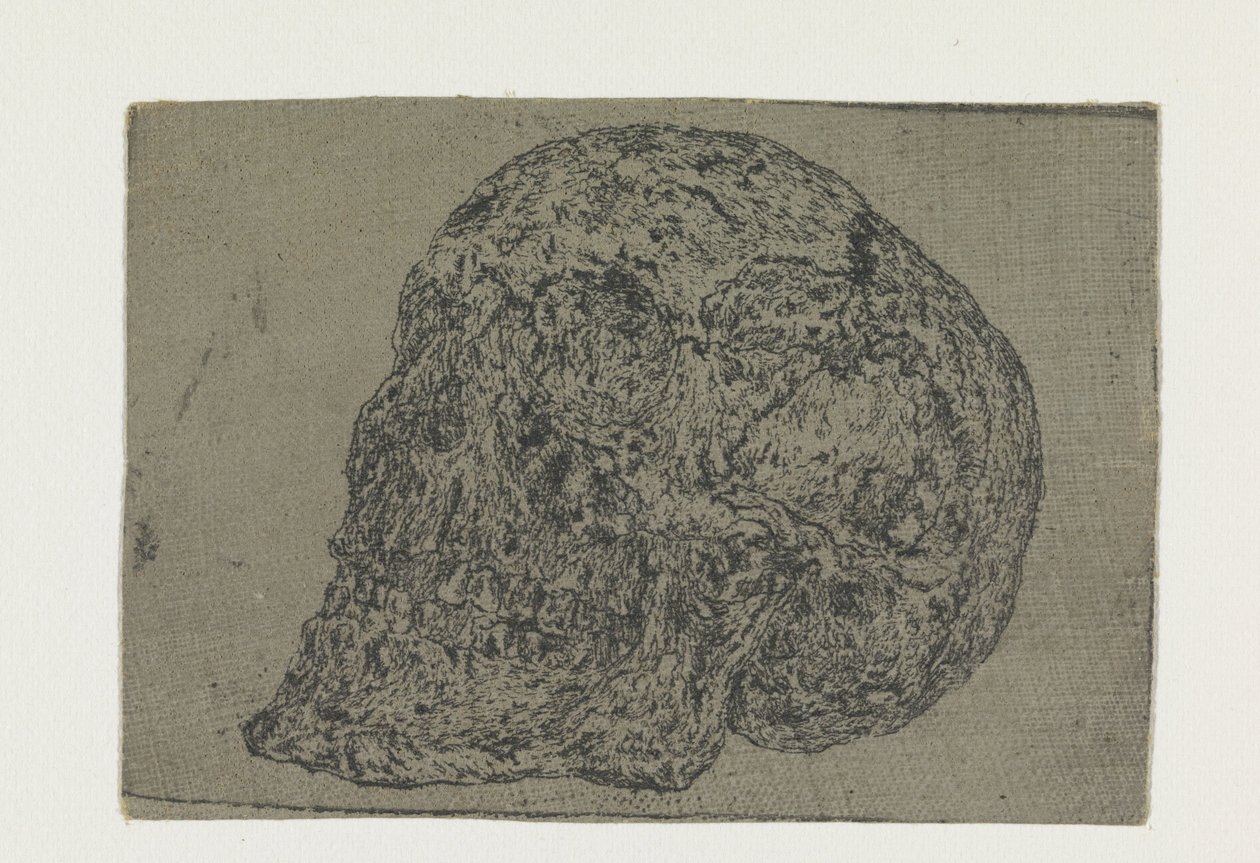 Un teschio da Hercules Segers